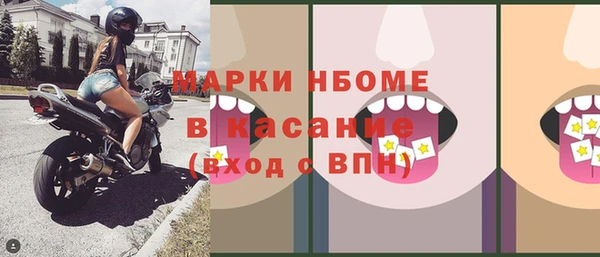 индика Новозыбков