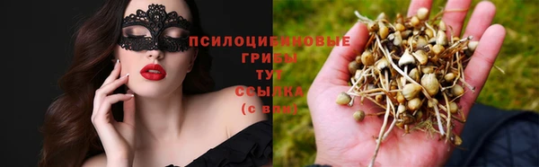 тгк Красноперекопск