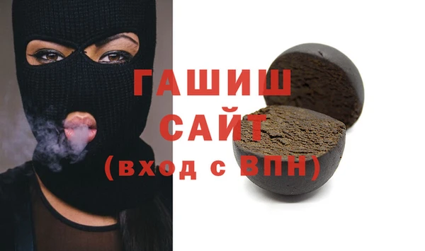 индика Новозыбков