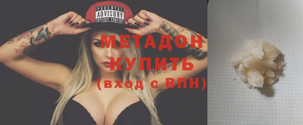 индика Новозыбков
