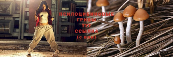 стафф Билибино