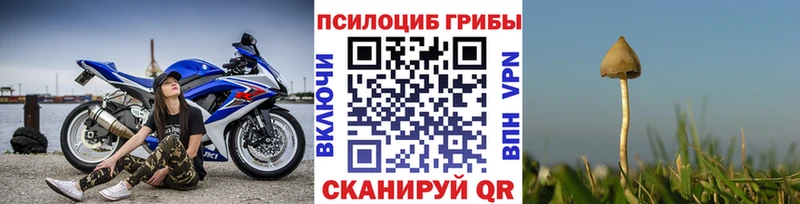 наркошоп  Кодинск  Псилоцибиновые грибы GOLDEN TEACHER 